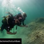 Dani Rovira Instagram – • @fundacionochotumbao 🪸 Este 2023 hemos replantado fragmentos de vida en el Mediterráneo de la mano de @arrelsmarines. 🌱🌎

Poco a poco esos fragmentos se convierten en praderas de Posidonia, uno de los ecosistemas costeros clave en la mitigación del cambio climático. 

En estas 📸 podéis ver uno de los momentos más especiales de la visita de @danirovira y @d10solano, patronos de Ochotumbao y @joselitorovira @arturogcampos y @javitatay3, amigos de la Fundación, junto al equipo de Arrels Marines: la expedición submarina para ver los primeros brotes de este proyecto tan ambicioso y que nos hace tanta ilusión que sea ya una realidad. 🧡

En nuestra web 🔗 podéis conocer más sobre este proyecto al que nuestra cofundadora @claralago1 ha destinado la recaudación íntegra de su colaboración con varias marcas. 

Fotos: @nicolau_c.pons

➕ info 👉 https://www.ochotumbao.org/causa/reforestacion-de-las-praderas-de-posidonia-en-mallorca/

#Ochotumbao