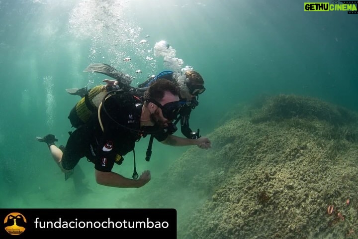 Dani Rovira Instagram - • @fundacionochotumbao 🪸 Este 2023 hemos replantado fragmentos de vida en el Mediterráneo de la mano de @arrelsmarines. 🌱🌎 Poco a poco esos fragmentos se convierten en praderas de Posidonia, uno de los ecosistemas costeros clave en la mitigación del cambio climático. En estas 📸 podéis ver uno de los momentos más especiales de la visita de @danirovira y @d10solano, patronos de Ochotumbao y @joselitorovira @arturogcampos y @javitatay3, amigos de la Fundación, junto al equipo de Arrels Marines: la expedición submarina para ver los primeros brotes de este proyecto tan ambicioso y que nos hace tanta ilusión que sea ya una realidad. 🧡 En nuestra web 🔗 podéis conocer más sobre este proyecto al que nuestra cofundadora @claralago1 ha destinado la recaudación íntegra de su colaboración con varias marcas. Fotos: @nicolau_c.pons ➕ info 👉 https://www.ochotumbao.org/causa/reforestacion-de-las-praderas-de-posidonia-en-mallorca/ #Ochotumbao