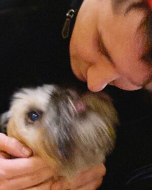 Daniel Howell Instagram - he is a GOOD BOY and i LOVE him even if he ate a BOX of vegan chocolate and puked under the TREE i just don’t want him to lick my FACE