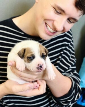 Daniel Howell Instagram - there is a two week old puppy falling asleep in my hands and i will do anything to protec him

thank you @makeawishuk and @battersea for giving us and @rachael__pie this dream day