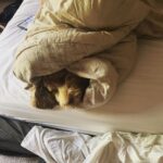 Daniel Sharman Instagram - Unemployed life.