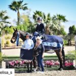 Daniel Wu Instagram - Winner winner chicken dinner! So proud of my wifey! She puts in a lot of hard work and effort to get these results. Now I gotta go out and get a podium win. ・・・ This circuit has given me another first. My first derby win! Now that was exhilarating ✨ 🐎 🏆 Thank you so much to my trainers who always stick by me even when I’m driving them crazy with my own self doubt @farwestfarms. @ivygatefarm @kiksporthorses