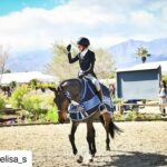 Daniel Wu Instagram - Winner winner chicken dinner! So proud of my wifey! She puts in a lot of hard work and effort to get these results. Now I gotta go out and get a podium win. ・・・ This circuit has given me another first. My first derby win! Now that was exhilarating ✨ 🐎 🏆 Thank you so much to my trainers who always stick by me even when I’m driving them crazy with my own self doubt @farwestfarms. @ivygatefarm @kiksporthorses