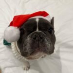 Daniel Wu Instagram - Who’s in the mood for Xmas?