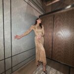 Daniella Rahme Instagram - Golden nights✨ #DaniellaRahme #دانييلا_رحمة One&Only One Za'abeel