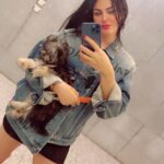 Dareen Haddad Instagram - 🥰.. #cairo #homesweethome #teacuppuppies #دارين_حداد #fandoud #babygirl🎀 Home Sweet Home