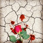 Dariush Eghbali Instagram - تاریکی روح زمین را نیروی صد چون ما، ندایی در کویرست! دیار آشتی: فریدون مشیری / داریوش تقی‌پور (آوستا) / داریوش
