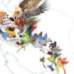 Dariush Eghbali Instagram - همبستگی یعنی پذیرش تفاوت‌های هم، در کنار یکدیگر ایستادن و به توافق رسیدن برای ریشه‌کن کردن دردهای مشترک. #خوزستان را تنها نگذاریم شعر: فرهاد عزیزی