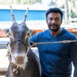 Darshan Thoogudeepa Instagram – ಸಮಸ್ತ ನಾಡಿನ ಜನತೆಗೆ ಮಕರ ಸಂಕ್ರಾಂತಿಯ ಹಾರ್ದಿಕ ಶುಭಾಶಯಗಳು. ನಮ್ಮ ಸಾಂಸ್ಕೃತಿಕ ಹಬ್ಬವನ್ನು ಹೆಚ್ಚು ಸಂಭ್ರಮ ಸಡಗರದಿಂದ ಆಚರಿಸಿ 😊