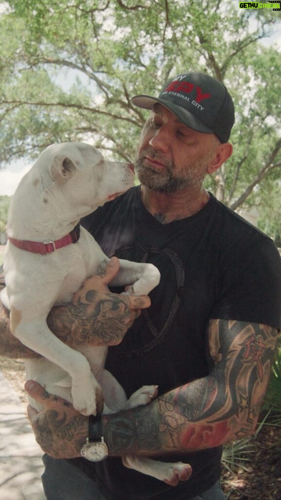 Dave Bautista Instagram - Happy Father’s Day to all the dog dads out there! Our newest episode of WeWalkDogs features Dave Bautista and his 4 rescue pitbulls! It’s out now on YouTube. Click the link in our bio to watch the full interview!
