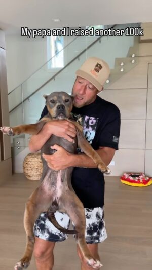 Dave Portnoy Instagram - @famousmisspeaches and I are proud to announce we raised another 100k for dog rescues and charities. 25k each has been given to @newyorkbullycrew @truefaithfulpetrescuemission 
@pawpatrolanimalrescue @muttypawsrescueinc 
We’ve raised almost 400k so far. As a reminder every penny we make from @famousmisspeaches will be donated. Miss Peaches has new gear that just went on sale today (store.barstoolsports.com) Save all the dogs!
#adoptdontshop