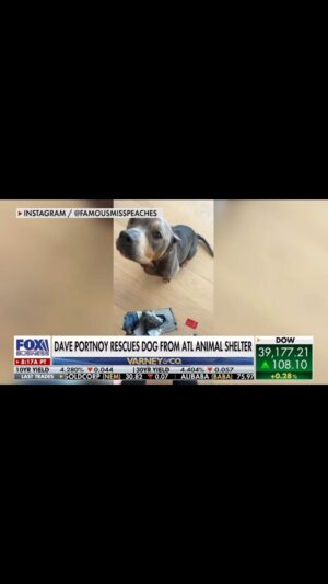 Dave Portnoy Instagram - The @famousmisspeaches world tour continues on @varneyco
