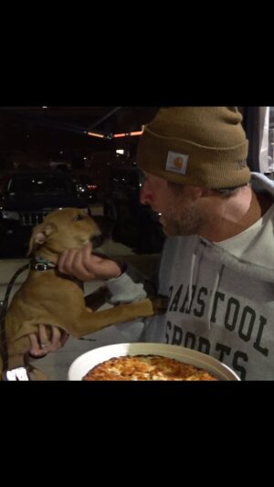 Dave Portnoy Instagram - Barstool Pizza Review - Bardo’s Pizza (Norwood, MA)