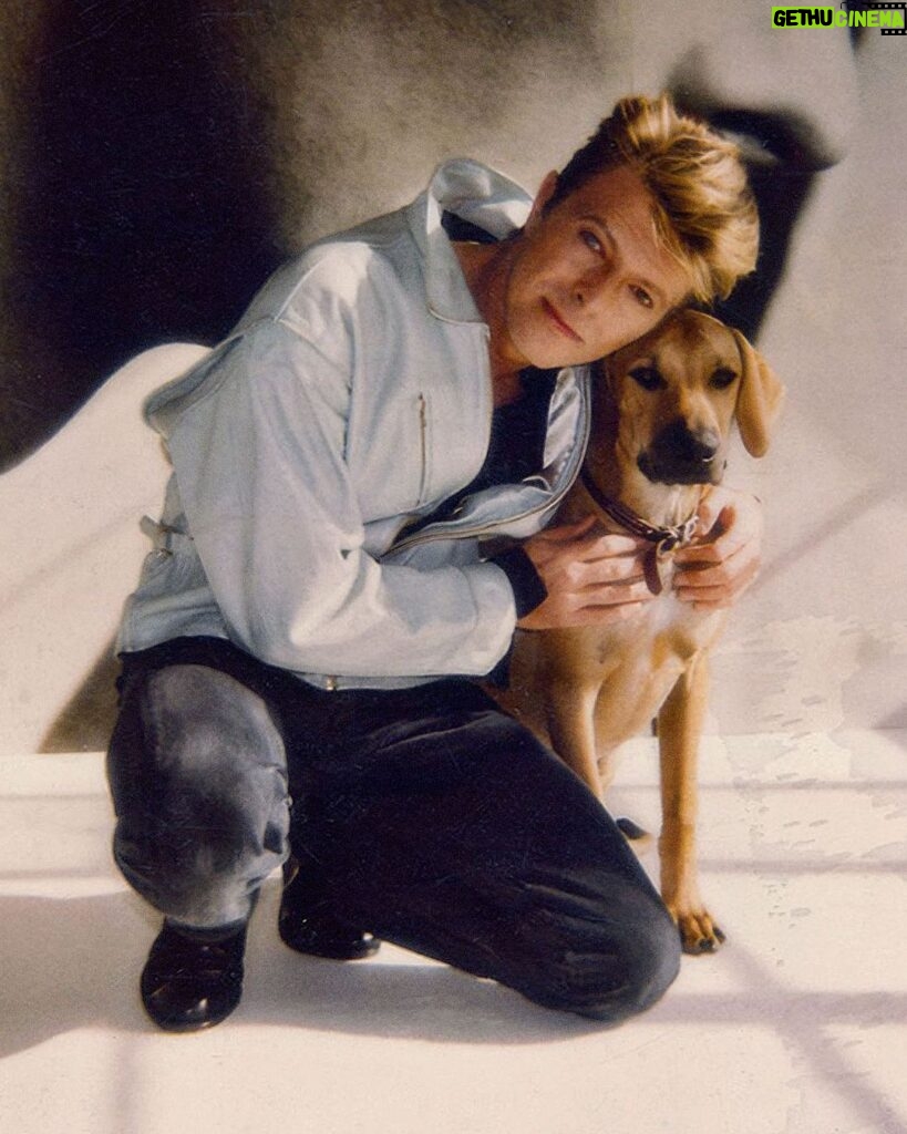 David Bowie Instagram - FAVOURITE BOWIE VIDEO POLL - UPDATE “Bow-wow, woof woof, bow-wow, wow...” The poll has closed, the votes are in and are being counted. We have been overwhelmed by the response to this and the reminder we posted triggered even more entries than the original post. The vote counter at DBHQ has assured us that the results will be posted over the weekend. Please stop sending now as the poll closed over a week ago. Meanwhile, why not try to guess the winning video in the comments section. Not necessarily the video you voted as your favourite, but the one you THINK will win. So as not to give the impression that we’re hinting at the winning video, the image we have used is from a Polaroid taken by Herb Ritts in 1989 and there is no official video for Diamond Dogs. #MyFavouriteBowieVideos