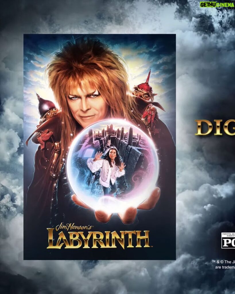 David Bowie Instagram - LABYRINTH AVAILABLE DIGITALLY IN 4K NOW “You remind me of the babe...” Own Jim Henson’s beloved fantasy adventure LABYRINTH digitally in astonishing 4k, available worldwide on February 6th, 2024 from shoutstudios in collaboration with The Jim Henson Company. More info and trailer here: https://www.youtube.com/watch?v=h87zu1h6sg0 (Linktree in bio) #BowieLabyrinth #BowieJareth