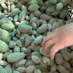 David Chang Instagram - Green almonds: Top 5 worst foods to prepare.