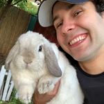 David Dobrik Instagram - Rest in peace Bailey Harambe Dobrik Ernst. We may have had our differences, but the joy you brought Alex could never be matched. Enjoy your mountain of carrots in bunny heaven 😇