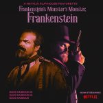 David Harbour Instagram - It may not have been so til now...but the fact the @netflixisajoke let me and @saltinwound make this indeed proves that Netflix IS a joke. If you like me, and you like idiotic silliness, you’ll love this. If you hate me but love idiotic silliness, you’ll appreciate this as a noble stab at something original while not actually laughing. If you hate me and only appreciate serious period drama, you’ll love the costumes in this and think we should have given @kateberlant a lot more to do. Enjoy Frankenstein’s Monster’s Monster, Frankenstein. Today July 16 on @netflix And let me know if that final comma should really be a semicolon. It should, shouldn’t it?