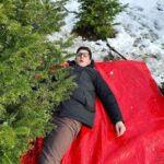 David Henrie Instagram - First time chopping down our own Christmas tree! Have y’all done this before? Unreal experience. So much fun. Highly recommend it. Slide three shows how I completely underestimated how much sawing was required 😅😅😅.