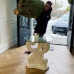 David Henrie Instagram - First time chopping down our own Christmas tree! Have y’all done this before? Unreal experience. So much fun. Highly recommend it. Slide three shows how I completely underestimated how much sawing was required 😅😅😅.