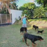 David Ortiz Instagram - My dogs are like my kids l'll do whatever it take for them to be healthy & happy haha ....happy & fox do not get mad at daddy😊😊 Mis perros son Como mis hijos hago lo que sea Para protegerlos....happy & fox no se quillen con daddy 🤣🤣