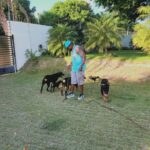 David Ortiz Instagram - My dogs are like my kids l'll do whatever it take for them to be healthy & happy haha ....happy & fox do not get mad at daddy😊😊 Mis perros son Como mis hijos hago lo que sea Para protegerlos....happy & fox no se quillen con daddy 🤣🤣