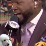 David Ortiz Instagram - B̶i̶g̶ My Dawg 🤝