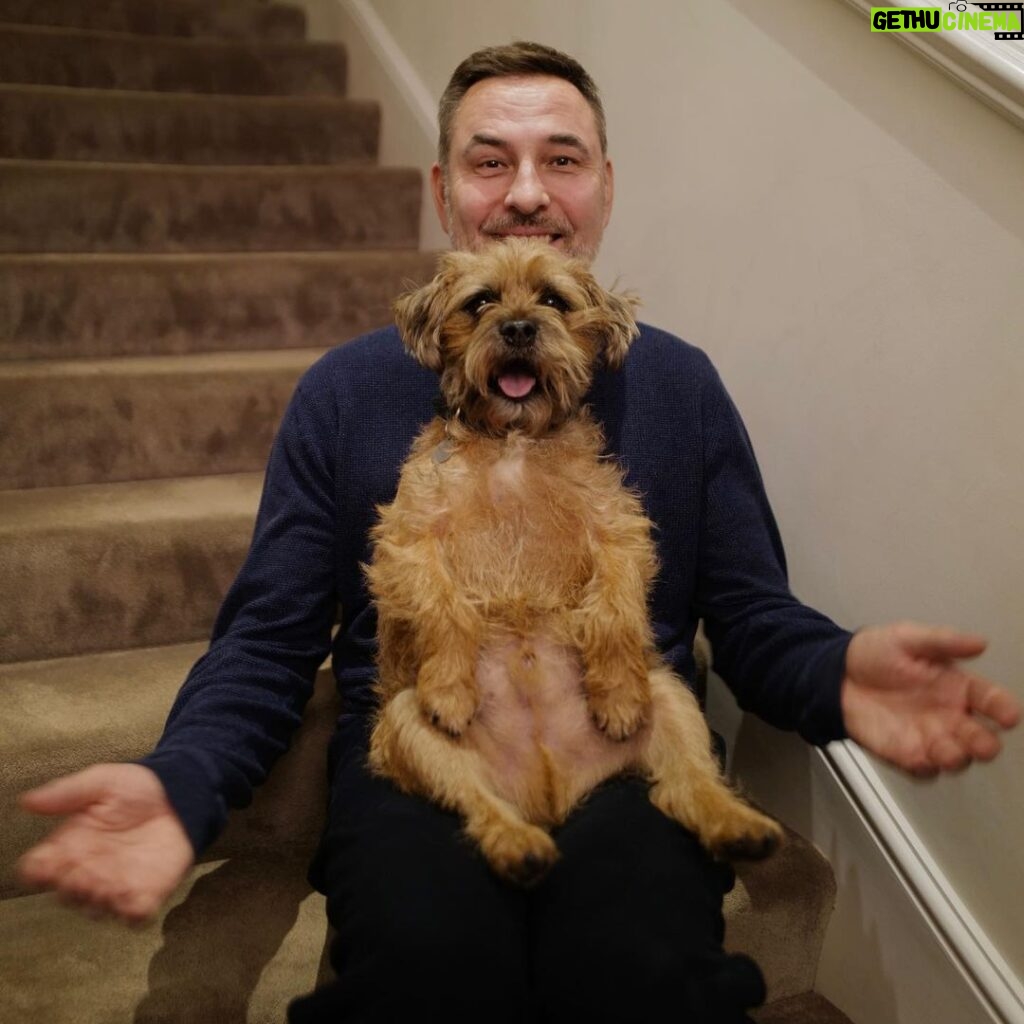 David Walliams Instagram - Ernie.