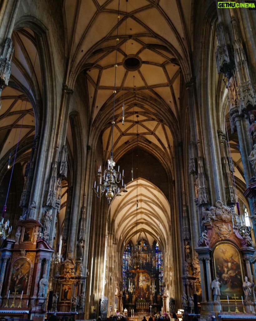 David Walliams Instagram - Vienna via @vsoetrain