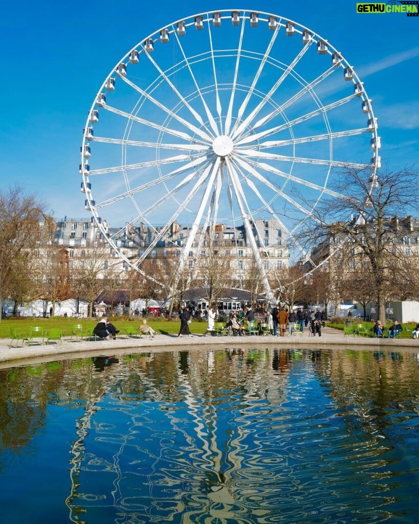 David Walliams Instagram - Paris.