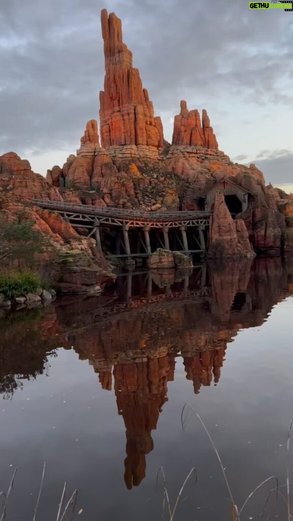 David Walliams Instagram - @disneylandparis