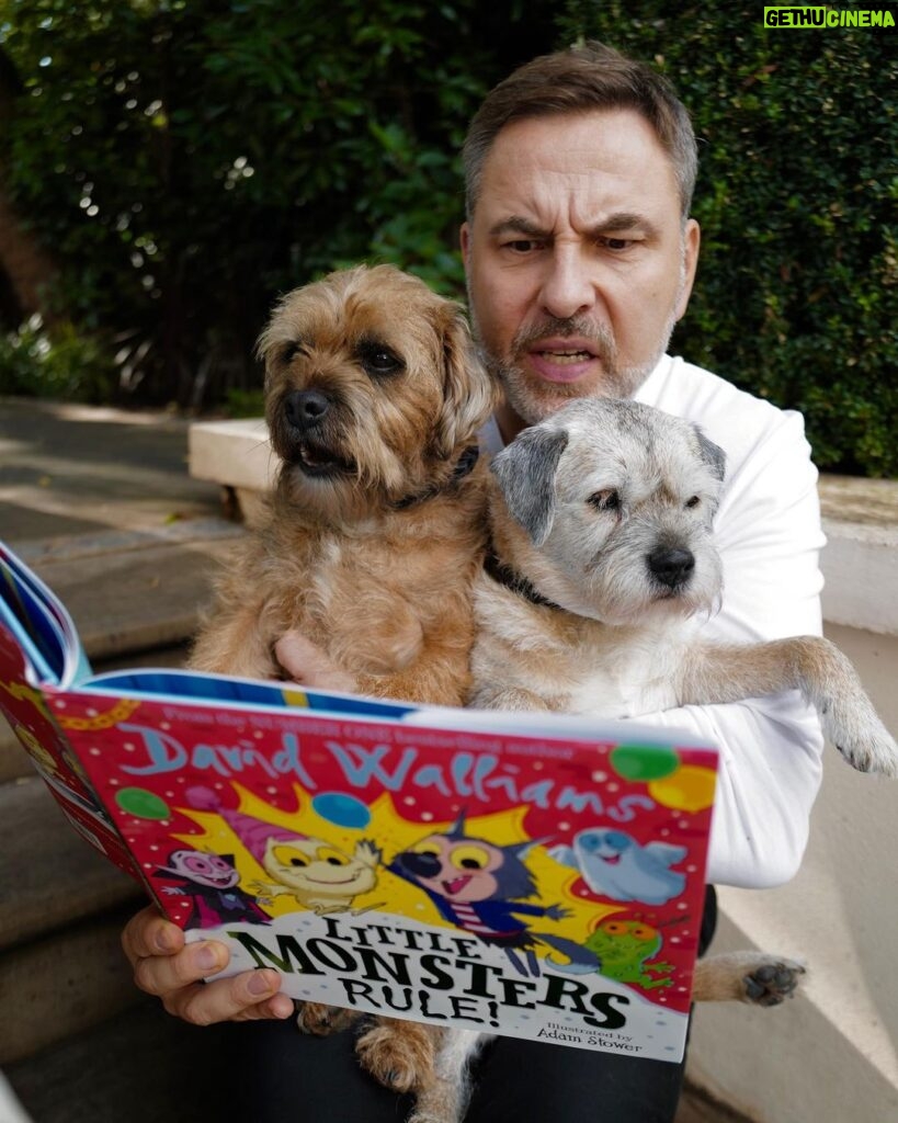 David Walliams Instagram - LITTLE MONSTERS RULE! is out now. @adam.stower