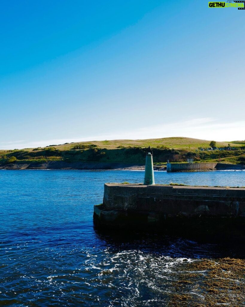 David Walliams Instagram - Port of Aberdeen.