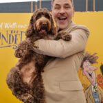 David Walliams Instagram - Today I was on stage @cheltfestivals talking about my brand new book THE BLUNDERS.