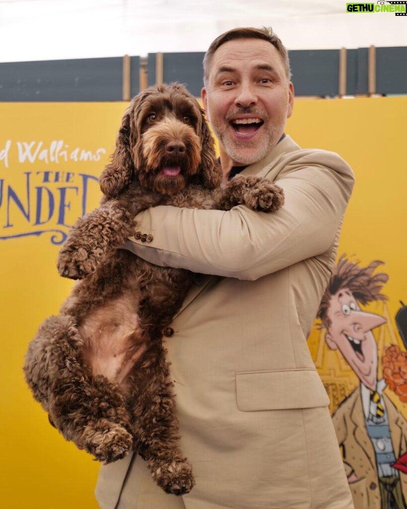 David Walliams Instagram - Today I was on stage @cheltfestivals talking about my brand new book THE BLUNDERS.