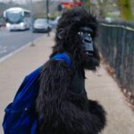 David Walliams Instagram – HAPPY WORLD BOOK DAY from Gertrude the gorilla & me. #worldbookday #codenamebananas