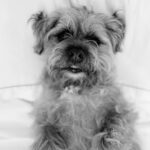 David Walliams Instagram - My little Ern.