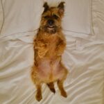 David Walliams Instagram - My little Ern.