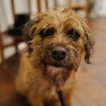 David Walliams Instagram - My little Ern.