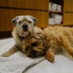 David Walliams Instagram - My little Ern.