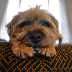 David Walliams Instagram - My little Ern.