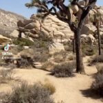 Dean Norris Instagram - In the desert on a horse with no name