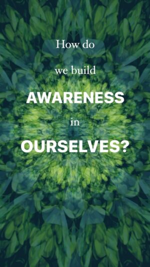 Deepak Chopra Instagram - #AskDeepak
“I want to understand, what is awareness? 
And how can one build this awareness in daily life?”
My response:
Awareness is who you truly are. 
When you read these words, awareness is that thing which has that experience. 
Consciousness is the substratum upon which all thought, experience, and action takes place. 
It is your timeless, unconditioned self.
You establish this awareness with daily meditation or mindfulness wherein consciousness becomes more awake and more dominant. 
In time, you will come to realize that this awareness is your core being and that you are no longer defined or limited by your ego, mind, or body.
Love,
Deepak