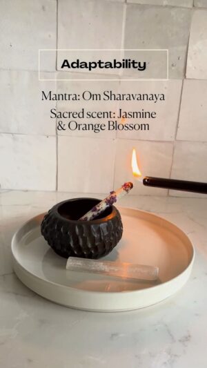 Deepak Chopra Instagram - Cultivate well-being and harmony in your life by taking a few moments each day to pause, breathe, and set a sankalpa (sacred intention). 🙏🏾

Enhance your experience with the new Chopra x Aromaria limited edition incense kit and meditation journey, uplifted by a sankalpa at the heart of each day. 💞

The incense kit includes access to the full "7 Spiritual Laws of Success" guided audio program with me to inspire your daily practice. You may shop the 7 Spiritual Scents here: https://bit.ly/3SoOEHG