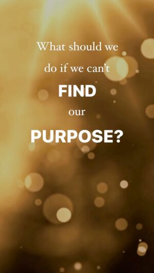 Deepak Chopra Instagram - #AskDeepak
“I have been a follower of your teachings for many years and I find it very insightful and helpful in general. 
I feel conflicted about my life’s “meaning”, that is, what is it that I am really here to learn or give or do in this lifetime? 
I believe our souls are eternal and that we come to this life for a purpose, but it is difficult at times to understand just what that is. 
I am very fortunate and grateful for the blessings that I have in this life (through no doing of my own, but really, just due to the life I was placed in.). 
I feel that much of my time here is “wasted” and I don’t really know what the path is. 
My life is easy and blessed and I am compassionate about life (particularly when it comes to those who have no voice such as animals and children). 
I am loving and caring, but don’t feel like I am doing anything that really “matters”. 
I really don’t want to have to return to another lifetime in order to learn things, possibly in a more difficult life situation, which some feel happens to “evolved souls”. 
Rather than feeling content in my earthly skin, I am just feeling that I am missing the point of my presence here. 
I am healthy, but I miss being young (I am 61 years old and feeling old for the first time.). 
Why am I missing the “point”?”
My response:
Based on your account, I don’t think you have been missing the point of a meaningful life. 
It’s just that your self-critical mind is telling you it’s not enough. 
You seem to be comparing your current life to some ideal life that has great purpose, but you cannot live an ideal life, you can only live your actual life. 
Life purpose is not something you strive to figure out and then attain; purpose and meaning are what you find in your everyday actions and thinking—your smiles, your hugs, or sharing a conversation or a walk with someone... 
Purpose reveals itself in the way you help those less fortunate. 
You contribute your unique quality to the betterment of the world just through your compassion and gratitude. 
Once you stop trying to be something or find a purpose outside of yourself, you will realize you are already living your purpose and always have been.
Love,
Deepak