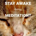 Deepak Chopra Instagram - #AskDeepak “I am doing both meditation series: manifesting grace through gratitude and the energy of attraction. What can I do to stay awake during meditation? I do them twice a day (morning and evening) but it often happens that I fall asleep.” My Response: The most important thing is to get more sleep at nighttime. If you still fall asleep during meditation, don’t worry about it. If you need to lie down and sleep, that’s fine. Don’t try to stay awake to meditate. Sleep during meditation is a deeper quality of sleep than you have at night, and it will help you release tensions and contractions you wouldn’t ordinarily get at otherwise. When you awaken, sit up and finish your meditation time. If you have already gone over, end with 2-3 minutes of meditation. Love, Deepak