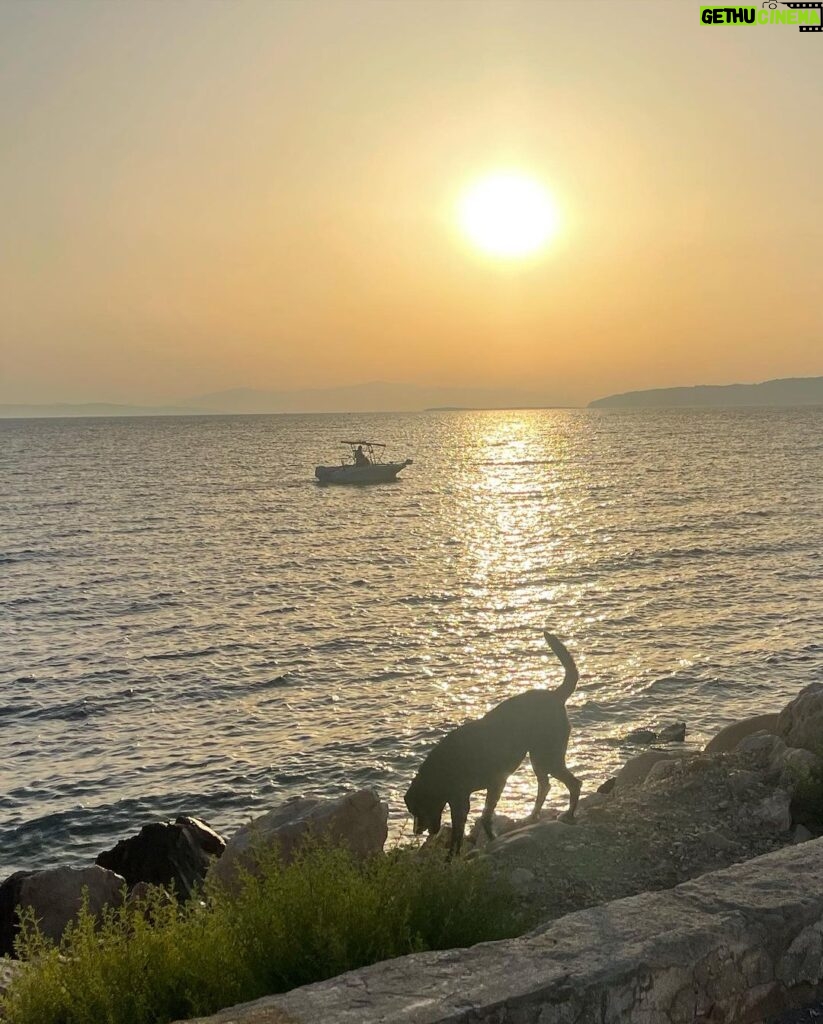 Demet Evgar Instagram - “ HBD suuunnn” ☀️