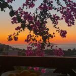 Deniz Çakır Instagram - ..beni bi şeylerden aklar gibi, koparmadan çiçek koklar gibi, hiç bozulmamış yasaklar gibi AKLIMDASIN…