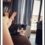 Deniz Çakır Instagram - "İnsan usul usul ölmek için gelir dünyaya. Başlar her gün biraz daha insan olmaya. Ve ölürken usul usul ne tuhaf; Âşık olur, kedi besler, isim verir eşyaya." #MetinAltıok Gümüşlük, Muğla, Turkey
