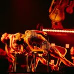 Derek Hough Instagram - Wife appreciation post ! I not only get to Tour the country doing what I love, but I get to share it with the woman that I love. Dancing on stage together sharing this incredible experience with her has been a gift. Also, look at how hot she is. Dang 🔥 We went straight from getting married to going on tour, working incredibly hard in the most demanding show either of us have ever done. What an awesome adventure to begin our beautiful union together. Thank you my love for standing by me and supporting me for the past year while Ive obsessed about building this show. 38 cities only 22 left . I can’t wait to hit that stage with you ! Let’s keep this celebration going Come see this hot lady do her thing Tickets 🎫 DerekHough.Com Photo credit: @zcassar